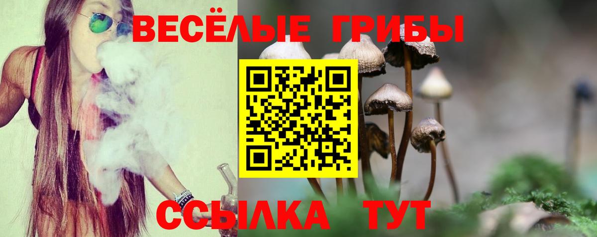 Тихорецк  Псилоцибиновые грибы GOLDEN TEACHER  Вход с VPN 